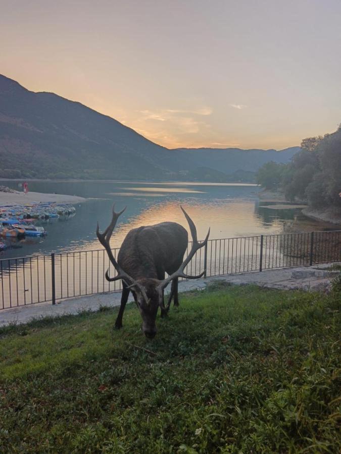 Hotel Il Rifugio Del Lupo スカンノ エクステリア 写真